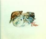 水彩大师 William Turner_1820-1830 Etude de Poisson aquarelle